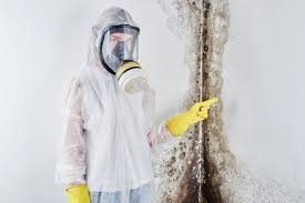 Best Air Quality Testing for Mold Spores  in Albany, MO